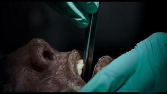 双瞳国产古装在线观看,穿越时空的古装传奇,在线观看,尽享视听盛宴