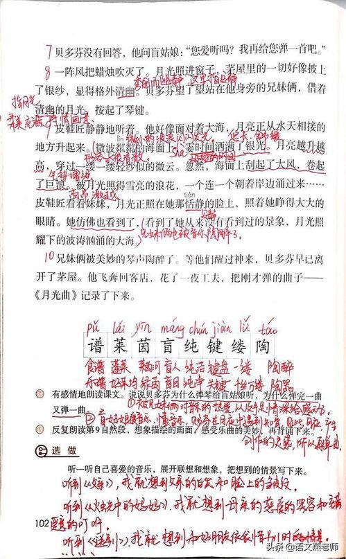 叮咛日记国产在线,国产在线情感治愈之旅