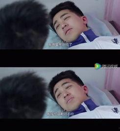 国产同志在线,展现多元情感与人性光辉